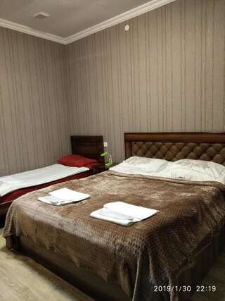 Отель Alma-Ata Hotel Боржоми Двухместный номер Делюкс с 1 кроватью и дополнительной кроватью-4